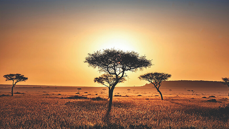 /images/r/africa_5/c960x540/africa_5.jpg