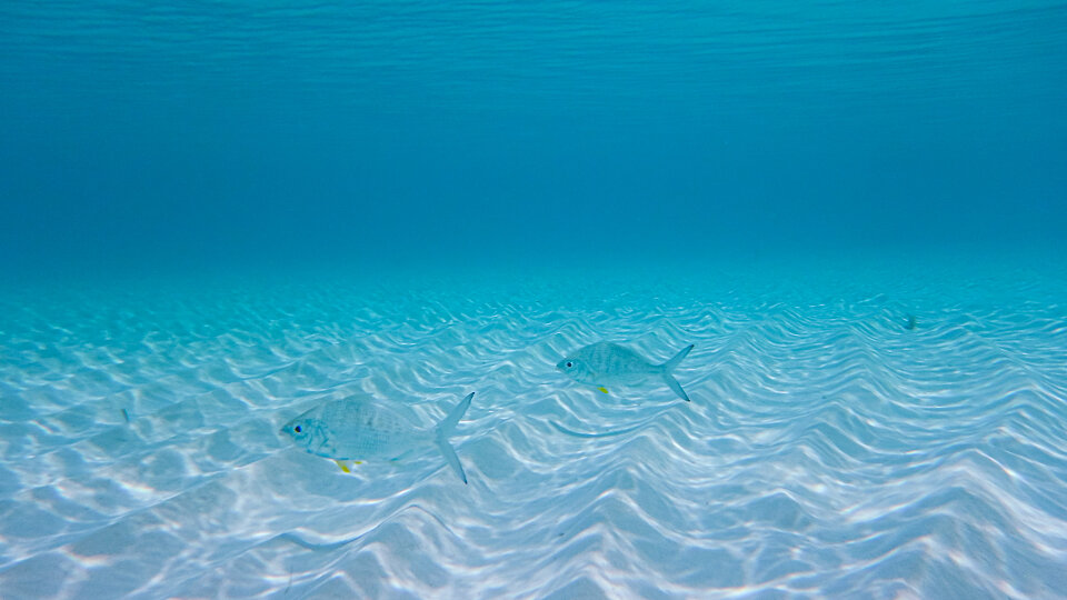 /images/r/bahamas_2-2/c960x540g0-204-2047-1356/bahamas_2-2.jpg