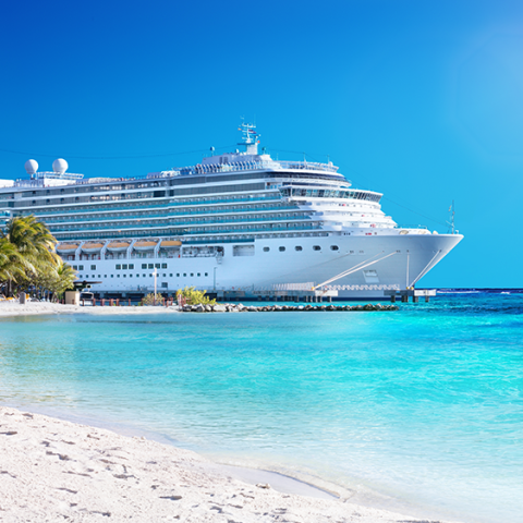 Fellowship Cruises