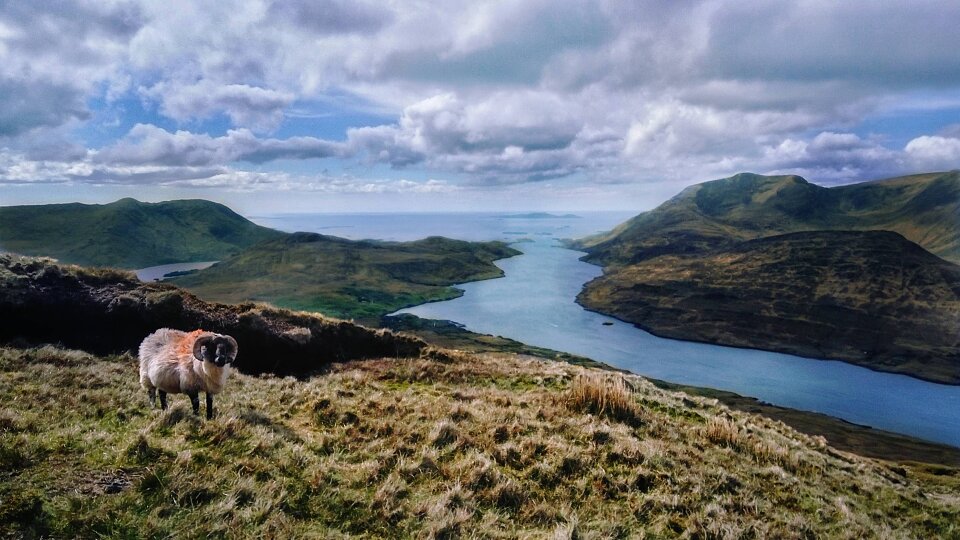 /images/r/fjord-of-killary-harbour-ireland-1/c960x540g0-1-4119-2317/fjord-of-killary-harbour-ireland-1.jpg