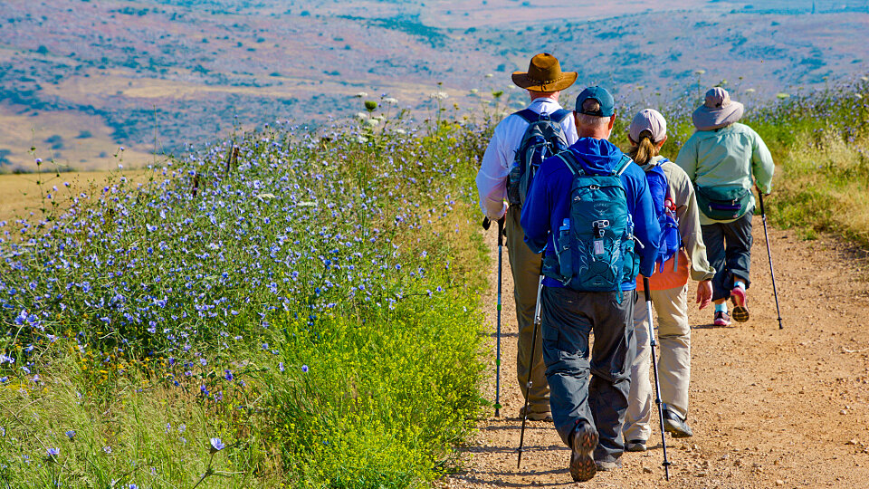 /images/r/hiking-in-the-hold-land_2/c960x540g0-104-2000-1229/hiking-in-the-hold-land_2.jpg