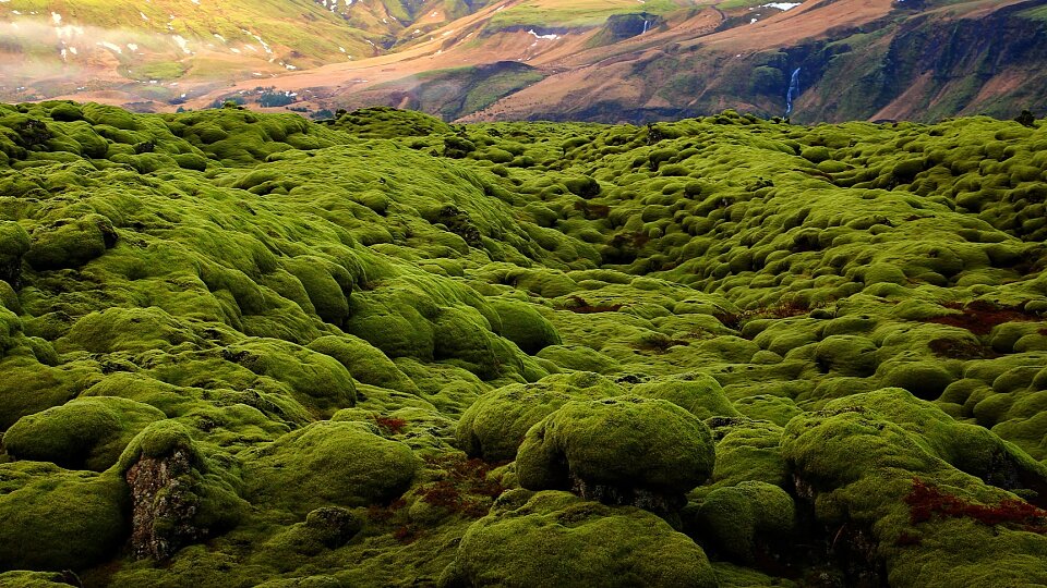 /images/r/iceland-lava-fields_2/c960x540g93-309-1818-1280/iceland-lava-fields_2.jpg