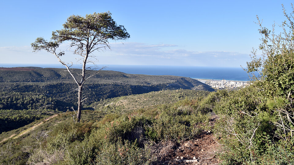 /images/r/mount-carmel/c960x540g2-300-2998-1985/mount-carmel.jpg