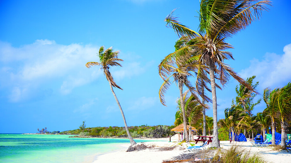 /images/r/rci_cococay-stock-shots-012-barefoot-beach/c960x540g0-132-5616-3289/rci_cococay-stock-shots-012-barefoot-beach.jpg