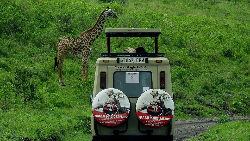 /images/r/safari-5645378_1280/c960x540g0-68-1280-788/safari-5645378_1280.jpg