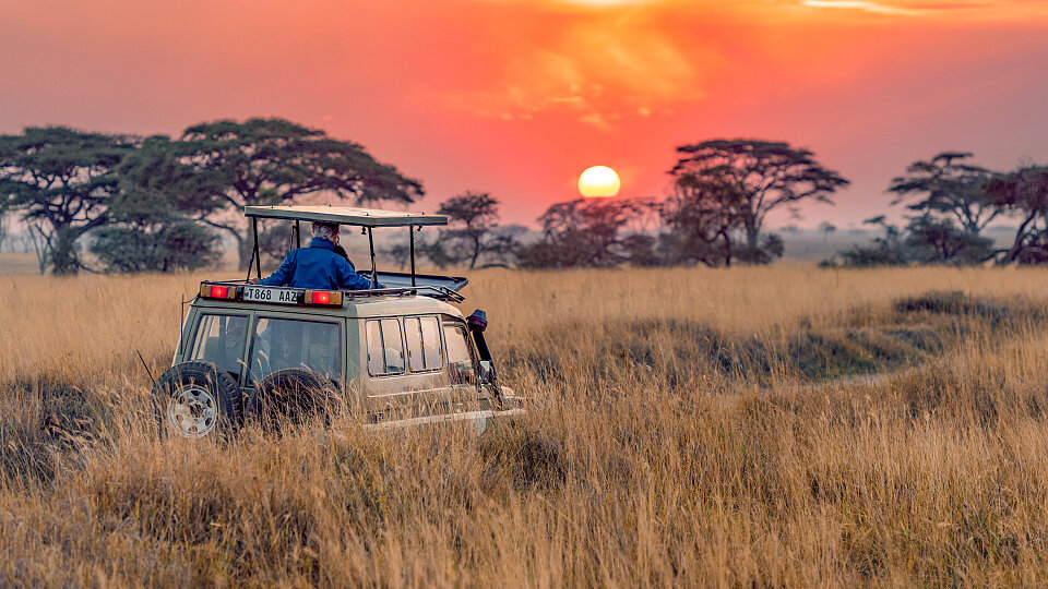 /images/r/safari/c960x540g1-547-5863-3845/safari.jpg