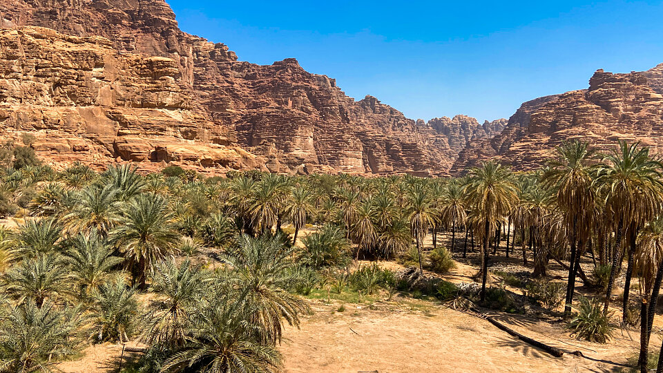 /images/r/saudi-arabia_1/c960x540g1-239-2048-1391/saudi-arabia_1.jpg