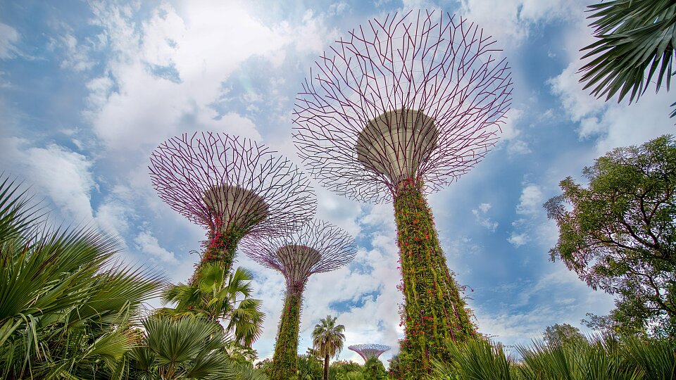 /images/r/singapore_3/c960x540g0-47-1920-1127/singapore_3.jpg