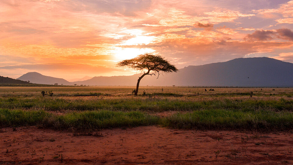 /images/r/tanzania/c960x540g0-292-5610-3447/tanzania.jpg