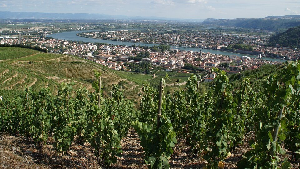 /images/r/vine-tain-l-hermitage-tournon-france/c960x540g18-153-1260-852/vine-tain-l-hermitage-tournon-france.jpg